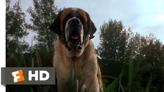 Stephen Kings  Cujo  1983  First Kill [upl. by Rednasela]