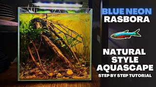 UNS 30C BLACKWATER FOR BLUE NEON RASBORAS Natural Style Aquascape Tutorial [upl. by Pas]