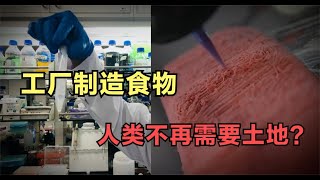 人工合成淀粉和肉，人类距离“喝西北风”就能够饱的时代还有多远 [upl. by Hinkel843]