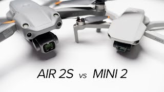 Which Drone to Buy in 2021  DJI Air 2S vs Mavic Mini 2 [upl. by Lyj]