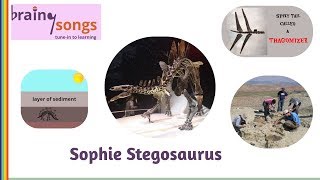 Stegosaurus Song  Sophie the Stegosaurus [upl. by Hareehat129]