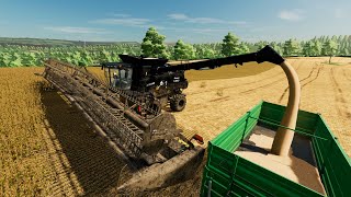 Harvesting Soybeans Farming Simulator 22 66 [upl. by Dnalkrik]