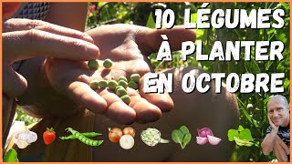 10 légumes à planter en octobre au potager [upl. by Cote]