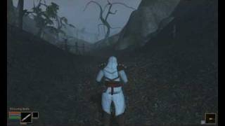 Morrowind assassins creed altair armorweapons mod [upl. by Cleopatra]