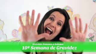 10ª Semana de gravidez [upl. by Luap317]