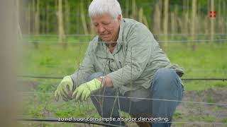 Aanplant agroforestry bij Herenboerderij De Willemshoeve in Utrecht [upl. by Poland]