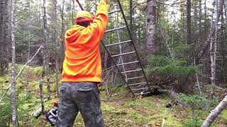 How to setup a deer stand by yourself  Nova Scotia [upl. by Cavan]