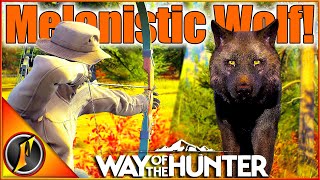 NEW Bear Archery Pack  Recurve Melanistic Wolf  Way of the Hunter [upl. by Parhe]