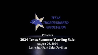 2024 Texas Summer Yearling Sale [upl. by Hebel]