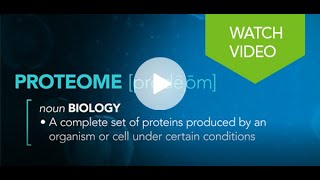 Proteomics 101 What is Proteomics [upl. by Kippie]