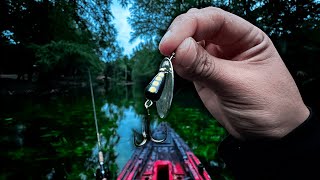 Este Señuelo MINIATURA pesca Lobinas Fácil [upl. by Araiek]