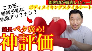 【Body Make Seat Styleボディメイクシート スタイル】骨盤サポートチェアを整体師が1ヶ月使ってみた感想 [upl. by Ennaxor107]