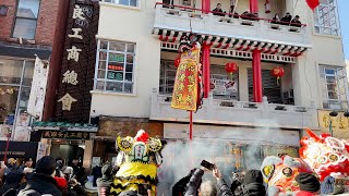 NYC Lunar New Year Lion Dance 2023 múa lân sư tử liondance liondancing múalân [upl. by Airres]