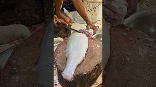 Admirable Koral Fish Cutting By Expert 😱 Amazing Sharp Knife Cutting part12 shorts [upl. by Reilly116]