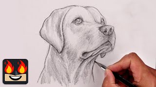 How To Draw a DOG  YELLOW LAB Sketch Tutorial [upl. by Satsok]