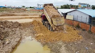 THE BEST Use Dozer SHANTUI DH 17C2 Push the ground Fill flooded land With Big Dump Truck 255t [upl. by Sanderson185]