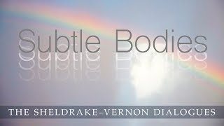 Subtle Bodies Sheldrake Vernon Dialogue 44 [upl. by Ahsienal40]