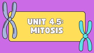 Unit 45 Mitosis [upl. by Mundt]