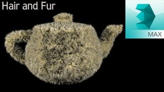 Hair and Fur  3ds max [upl. by Veradis]