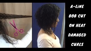 My Curly Hair Journey  A Line Bob Haircut [upl. by Thessa556]