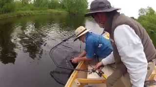 Flambeau River Wisconsin  Fly Fishing Musky  Hayward Fly Fishing Company  Muskie Guides [upl. by Anoif646]