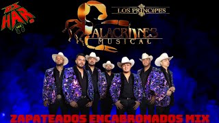 ALACRANES MUSICAL ZAPATEADOS ENCABRONADOS MIX PERRON DE PERRONES PA ZAPATEAR 2023  2024 DJ HAR [upl. by Eelarbed]