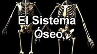 El Sistema Óseo  Documental de Biología [upl. by Crary333]