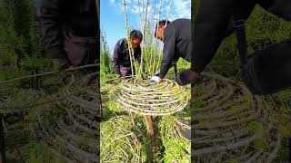 Weaving process of modeling tree [upl. by Chickie]