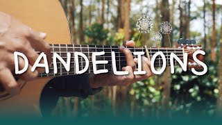 dandelions  ruth b fingerstyle [upl. by Nnylaehs823]