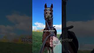 What’s your guess horse viral horseenthusiast equestrian funny horselover scary [upl. by Karina]