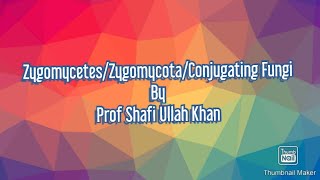 Zygomycota\Conjugating Fungi\TermsVideo Lectured by Prof Shafi Ullah Khan Muzaffargarh [upl. by Accissej]