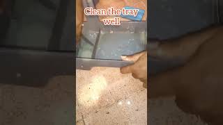 how to clean the fridge  cleaning back side tray  how to remove the fridge back tray [upl. by Portie]