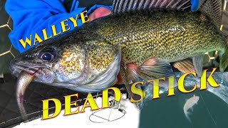 Dead Sticking Walleye Tricks [upl. by Assilim292]