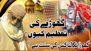 گھوڑا نکالنا کس کی سنت ہے ؟ By  Allama Ashraf Sialvi sab [upl. by Atinuhs549]