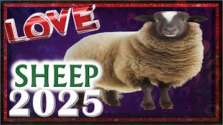 Sheep Horoscope 2025  Love  Born 2015 2003 1991 1979 1967 1955 1943 1931 [upl. by Nomelc107]