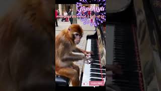 The Monkey Who Went Viral amp Changed Science Forever quotMonkeys Mischief Caught on Camera 🐒😂 Short [upl. by Anirpas]