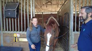 Whitmore at the Thoroughbred Makeover [upl. by Lizabeth424]