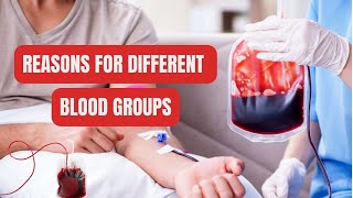 Reasons for Different Blood Groups [upl. by Aleibarg480]