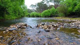 drone oallen ford nsw goulburn sasafras nerriga shoalhaven river low over water race [upl. by Forbes951]