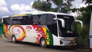 Line Perdana Bus NPM Di Kota Dumai [upl. by Sada]