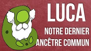 LUCA Notre Dernier Ancêtre Commun  Anecdoxos 09 [upl. by Adley307]