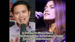 A Tribute To Mercy Sunot The Voice Behind The Hit Song Luha Aegis Version [upl. by Enyalaj]