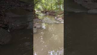 Creeks creek creekfishing creekside creeks ultralight ultralightfishing getoutdoors [upl. by Herries]