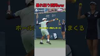 【テニス】ペナルティを受けまくる西岡良仁…shorts tennis [upl. by Nonnahc]