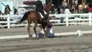 Ceros FEI Intermediate 1 Dressage At Devon 2005 [upl. by Elvis986]