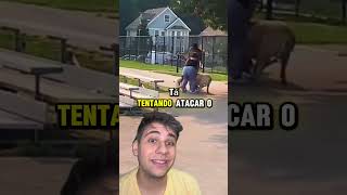 ‼️QUE PERIGO‼️ pets caes cachorro animaisdeestimação animaisengraçados remix react cao [upl. by Michelsen]