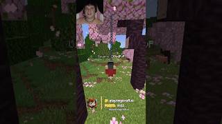 ¡La TRAMPA a unos duplicadores de mi servidor de Minecraft 🤯😱 minecraft shorts viral [upl. by Muriah102]