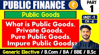 Public Goods Private Goods Pure Public amp Impure Public Goods  Public Finance GE  Bcom BA DU [upl. by Gilberto]