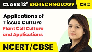 Applications of Tissue Culture  Plant Cell Culture and Applications  Class 12 Biotechnology Ch 2 [upl. by Alfonse208]