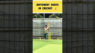 எப்டி Ball போட்டாலும் அடிப்பேன்டா😅  Different Shots🏏 Shorts  Sriram Prince [upl. by Tila996]